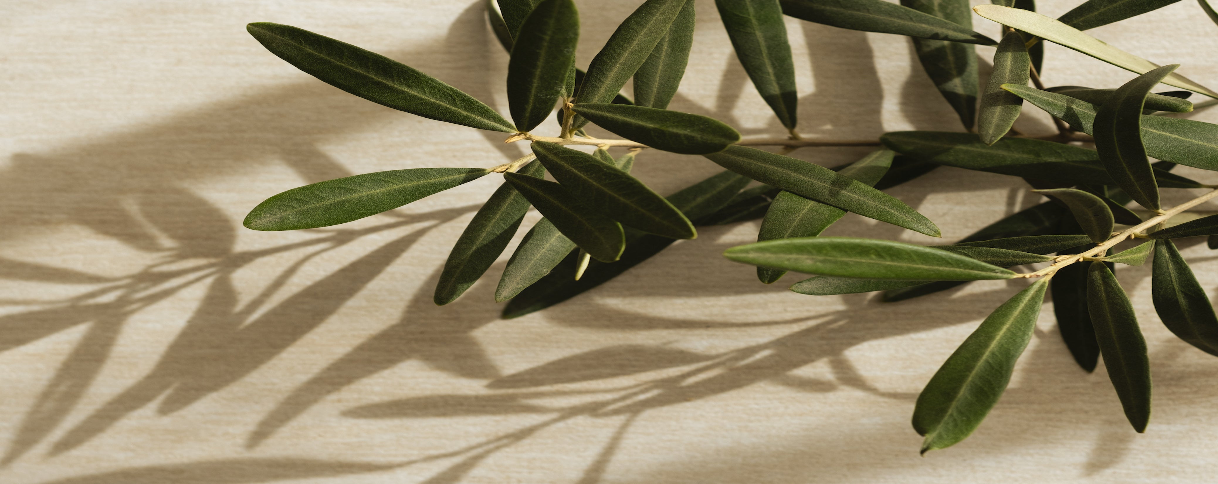 ELIA Greek Olive Oil